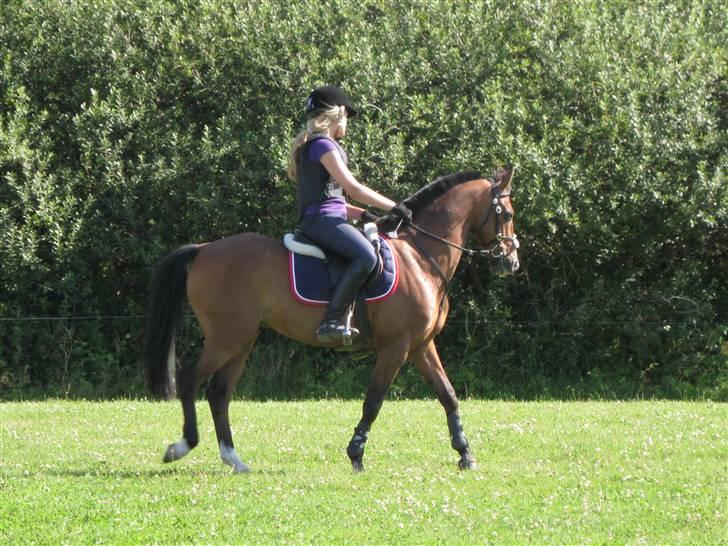 Søborggård Ridelejr Uge 32 billede 160