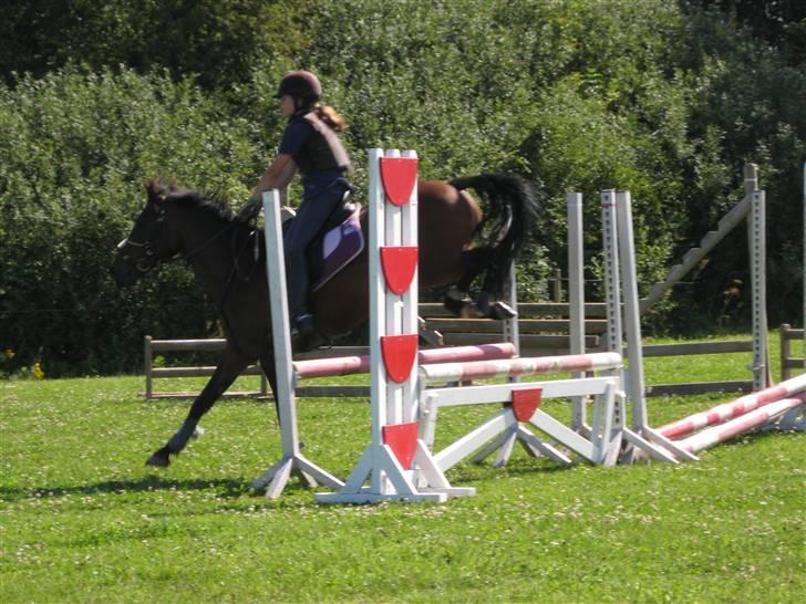 Søborggård Ridelejr Uge 32 billede 162