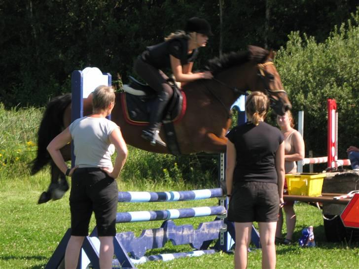 Søborggård Ridelejr Uge 32 billede 163