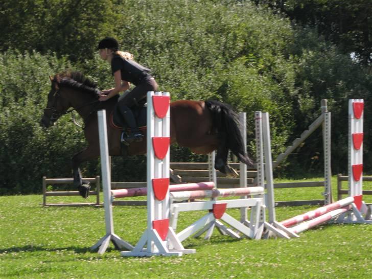 Søborggård Ridelejr Uge 32 billede 164