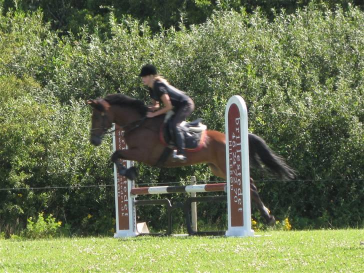 Søborggård Ridelejr Uge 32 billede 165