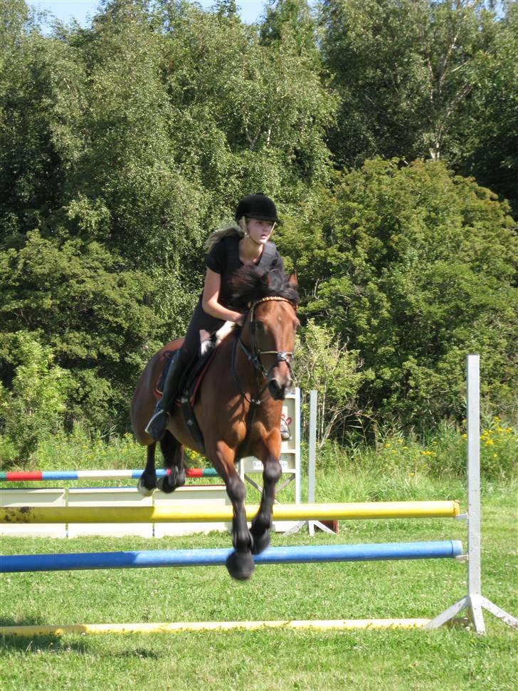 Søborggård Ridelejr Uge 32 billede 166