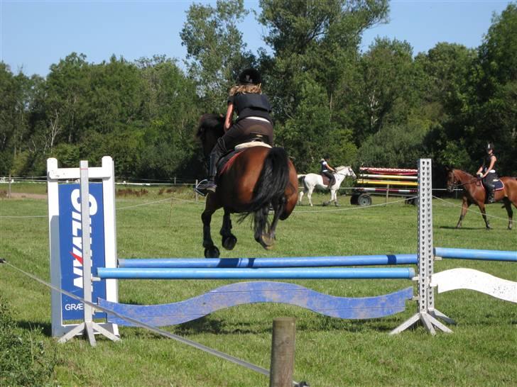 Søborggård Ridelejr Uge 32 billede 167