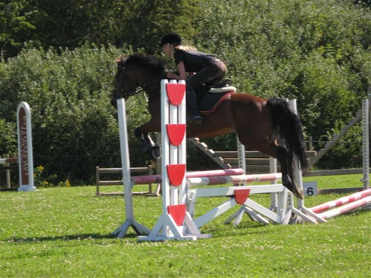 Søborggård Ridelejr Uge 32 billede 169