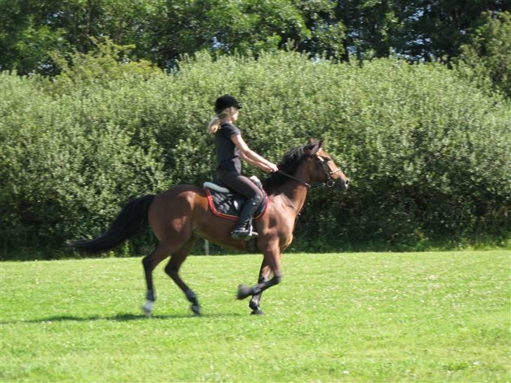 Søborggård Ridelejr Uge 32 billede 170