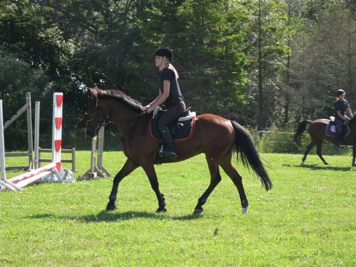 Søborggård Ridelejr Uge 32 billede 171