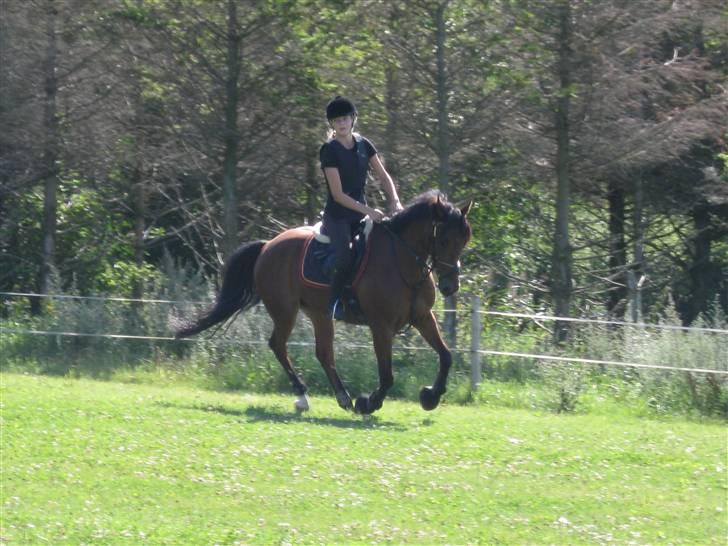 Søborggård Ridelejr Uge 32 billede 172