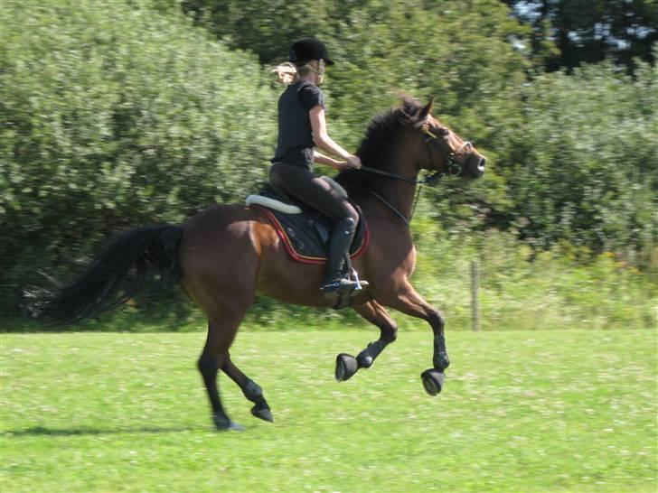 Søborggård Ridelejr Uge 32 billede 173