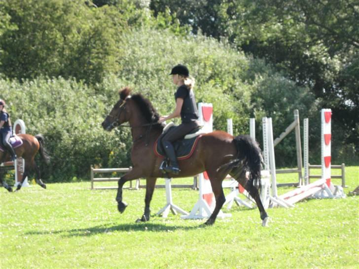 Søborggård Ridelejr Uge 32 billede 174