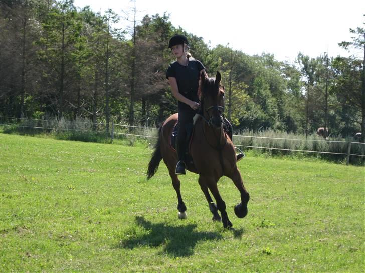 Søborggård Ridelejr Uge 32 billede 175