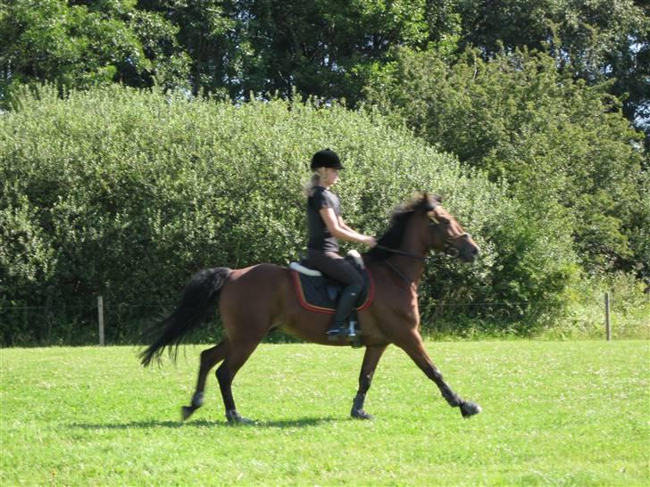 Søborggård Ridelejr Uge 32 billede 176