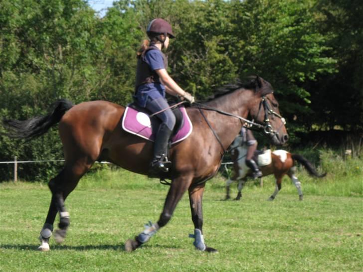 Søborggård Ridelejr Uge 32 billede 177