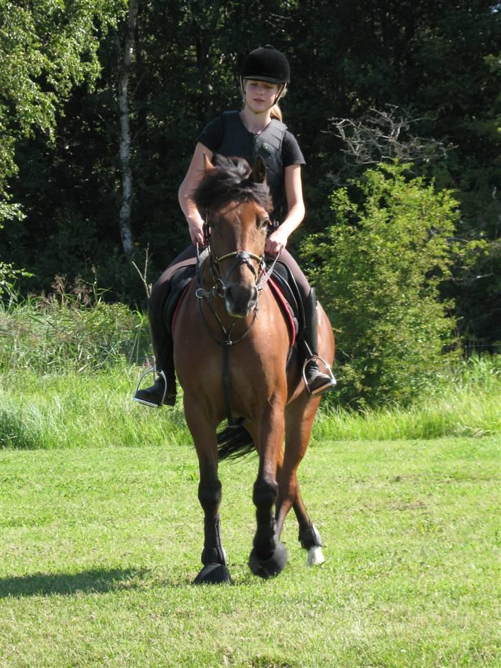 Søborggård Ridelejr Uge 32 billede 178