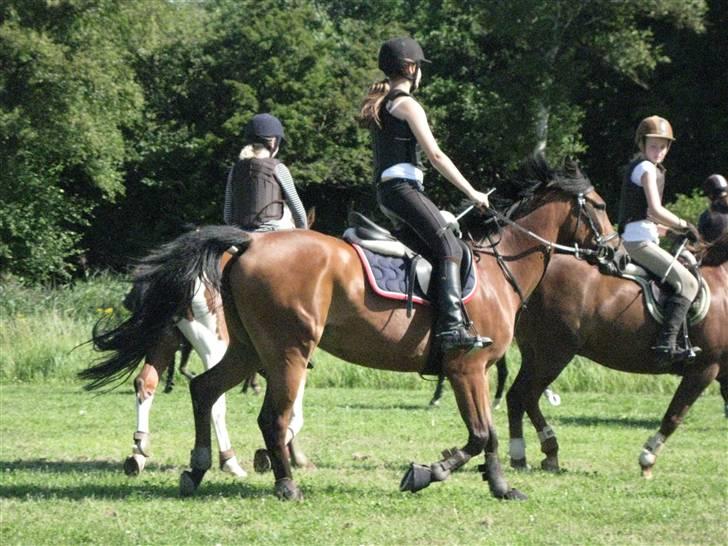 Søborggård Ridelejr Uge 32 billede 180