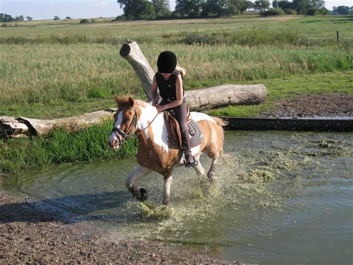 Søborggård Ridelejr Uge 32 billede 185