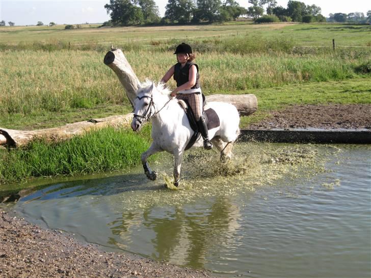 Søborggård Ridelejr Uge 32 billede 186