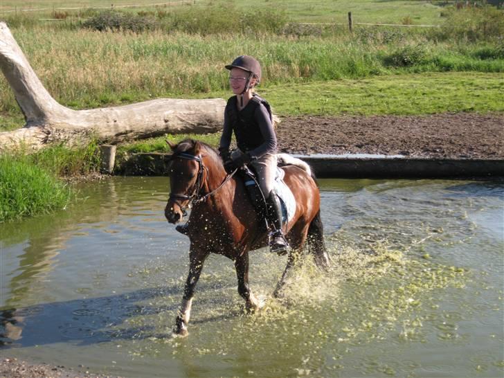 Søborggård Ridelejr Uge 32 billede 187