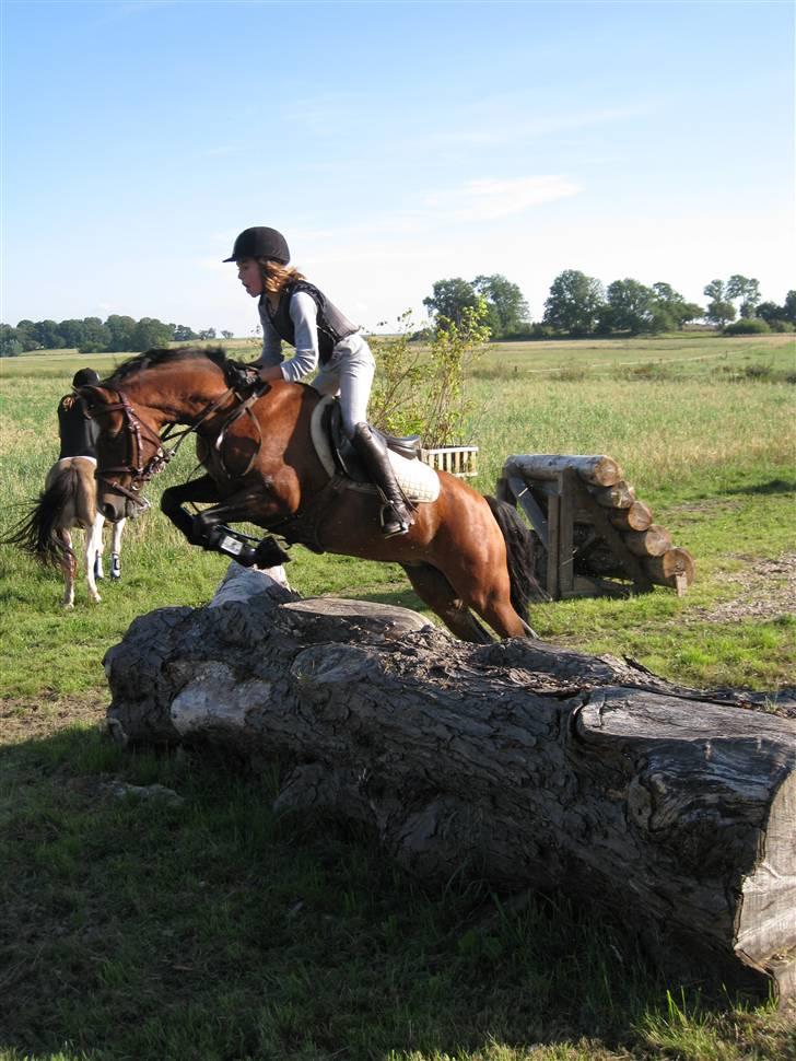 Søborggård Ridelejr Uge 32 billede 188