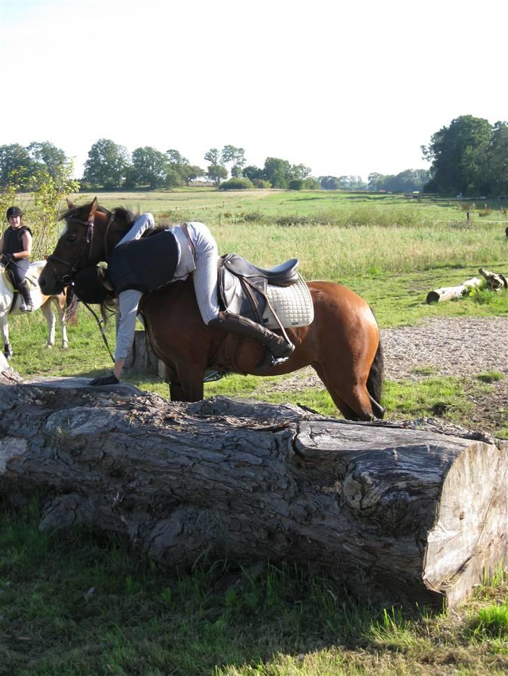 Søborggård Ridelejr Uge 32 billede 189