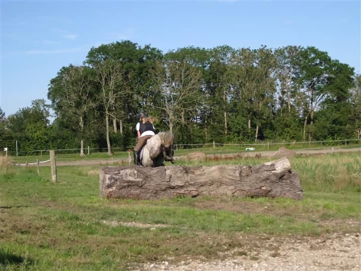 Søborggård Ridelejr Uge 32 billede 191