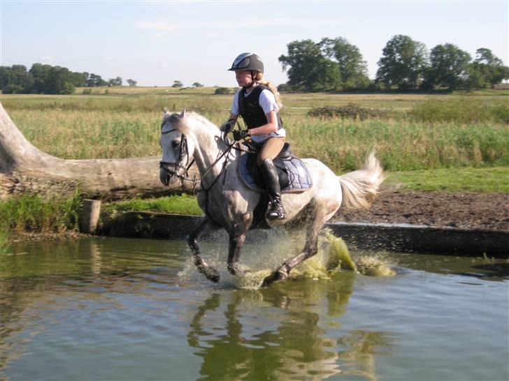 Søborggård Ridelejr Uge 32 billede 192