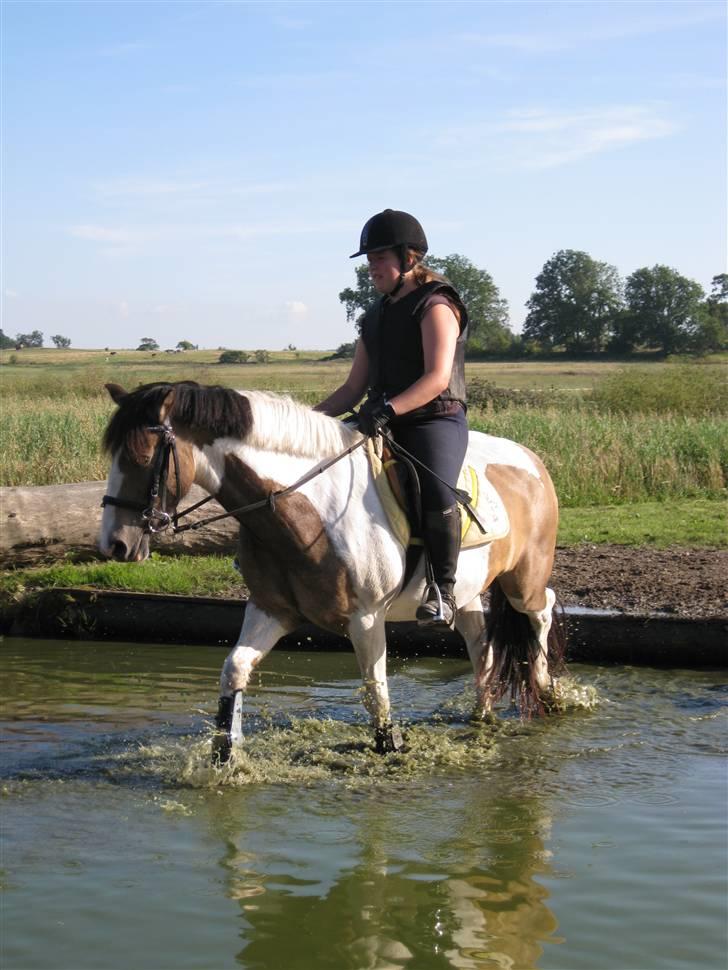 Søborggård Ridelejr Uge 32 billede 193