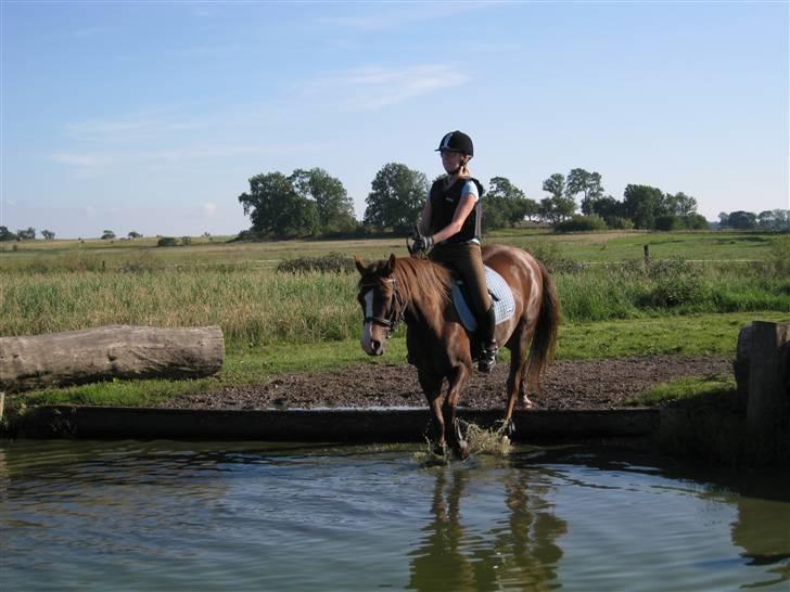 Søborggård Ridelejr Uge 32 billede 194