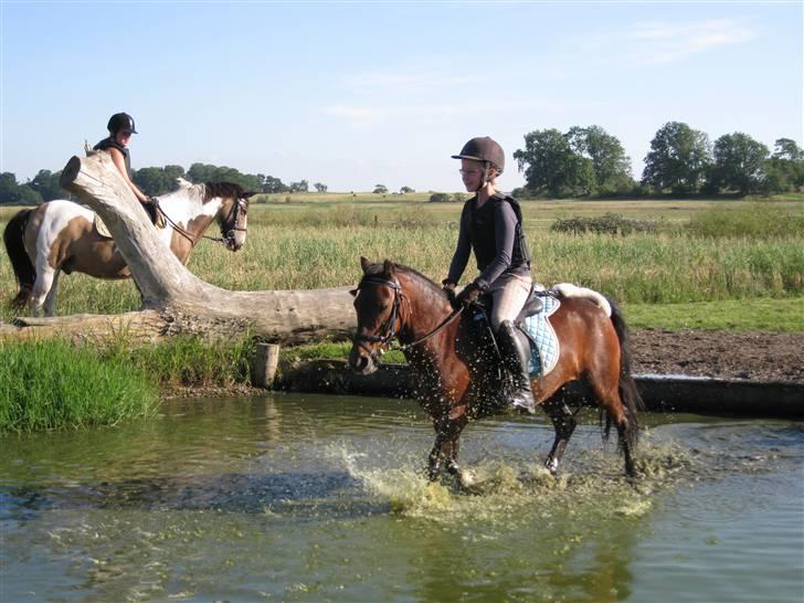 Søborggård Ridelejr Uge 32 billede 195