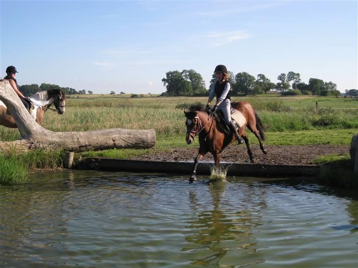 Søborggård Ridelejr Uge 32 billede 196