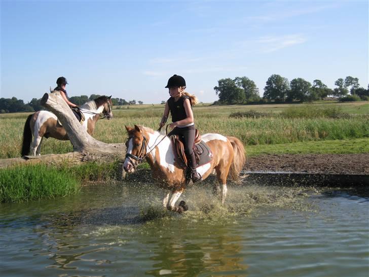 Søborggård Ridelejr Uge 32 billede 197