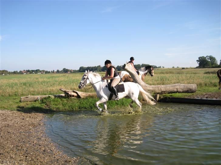 Søborggård Ridelejr Uge 32 billede 198