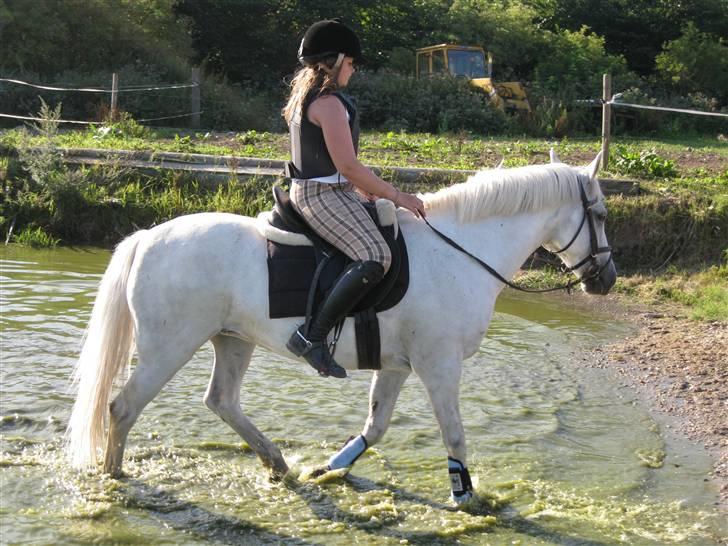 Søborggård Ridelejr Uge 32 billede 200