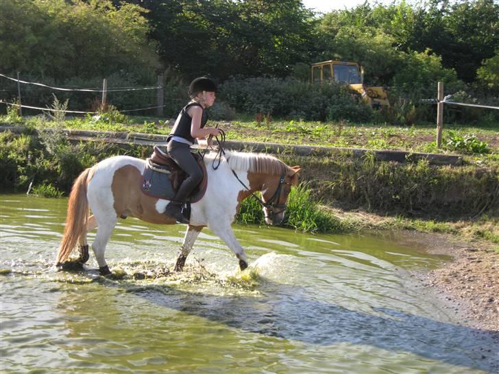 Søborggård Ridelejr Uge 32 billede 201