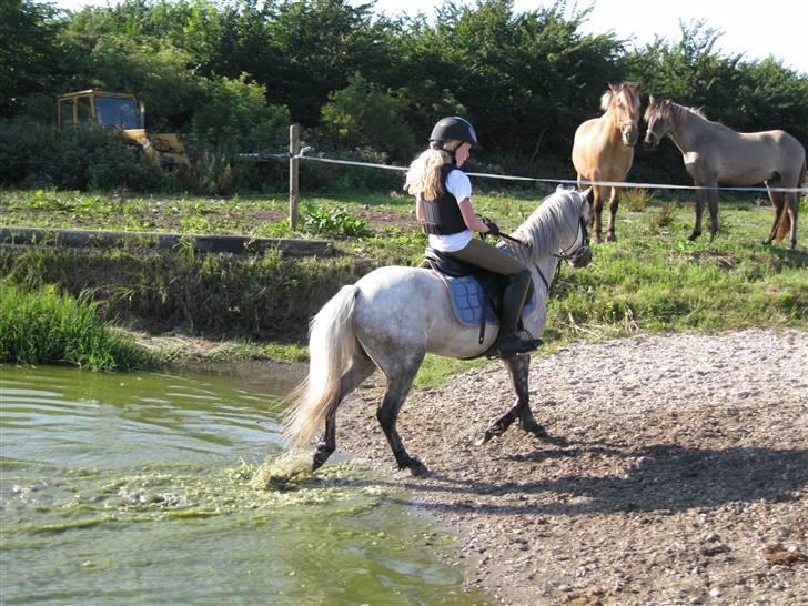 Søborggård Ridelejr Uge 32 billede 202