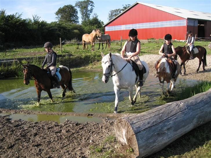Søborggård Ridelejr Uge 32 billede 203
