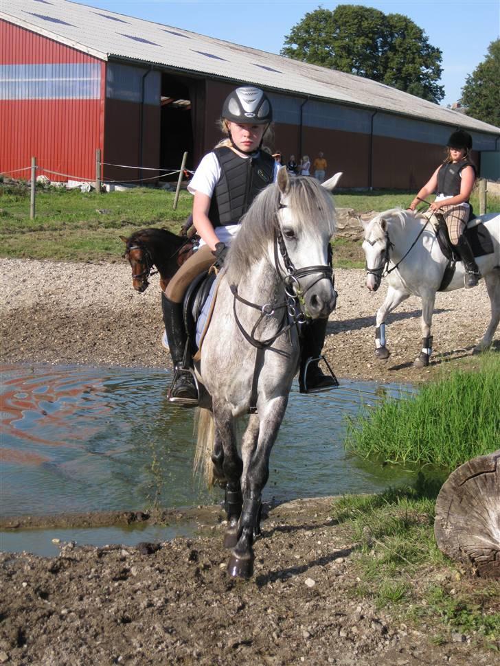 Søborggård Ridelejr Uge 32 billede 204