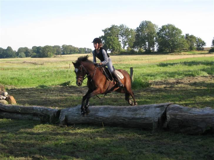 Søborggård Ridelejr Uge 32 billede 205