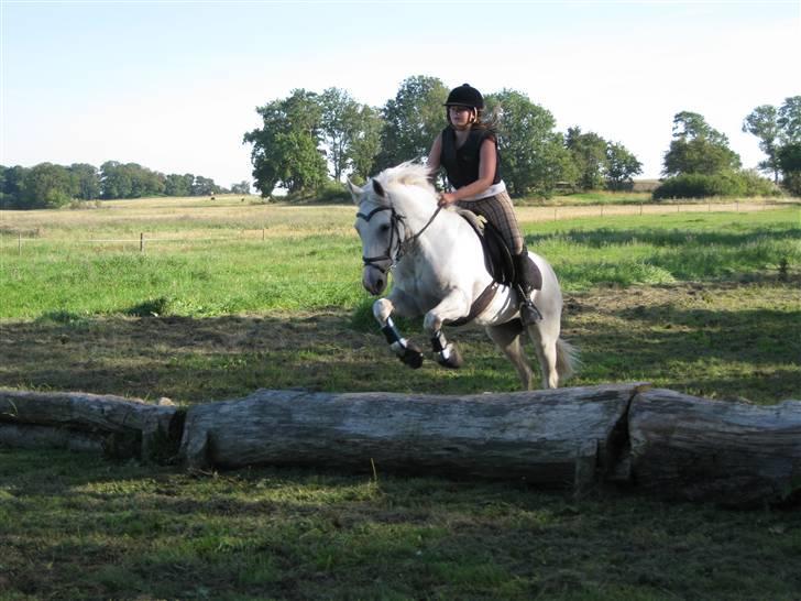 Søborggård Ridelejr Uge 32 billede 206