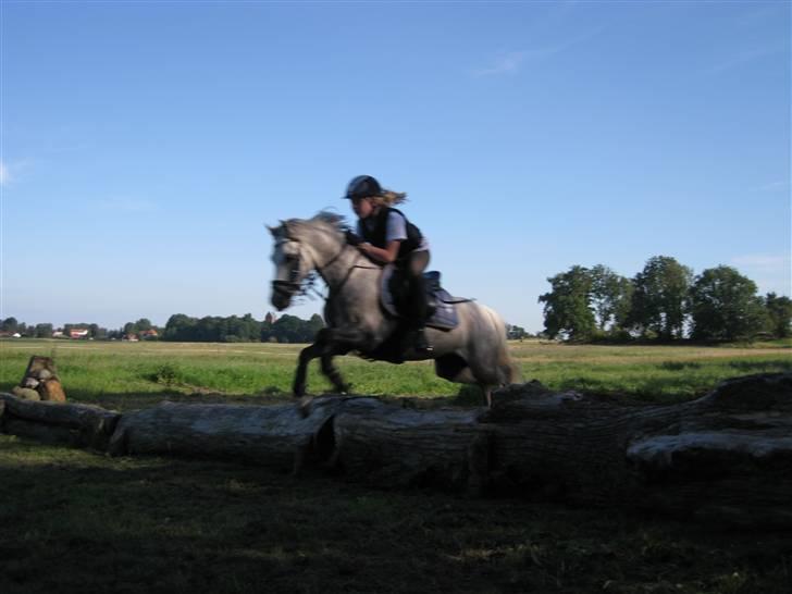 Søborggård Ridelejr Uge 32 billede 207