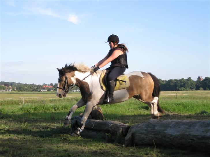 Søborggård Ridelejr Uge 32 billede 208