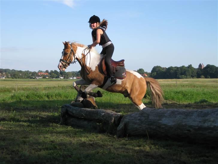 Søborggård Ridelejr Uge 32 billede 209