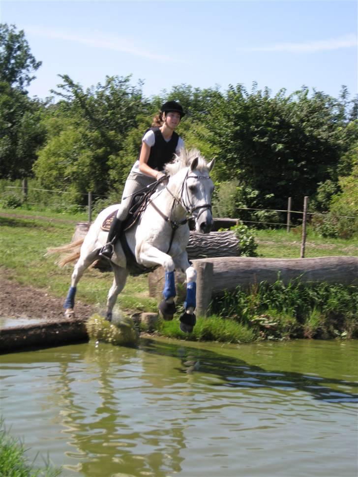 Søborggård Ridelejr Uge 32 billede 212