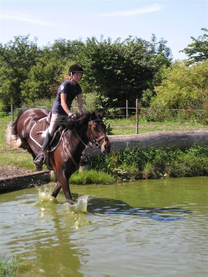 Søborggård Ridelejr Uge 32 billede 213