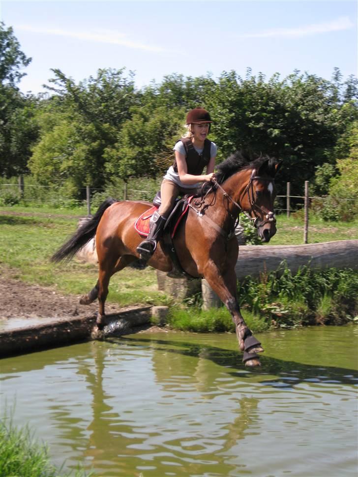 Søborggård Ridelejr Uge 32 billede 214