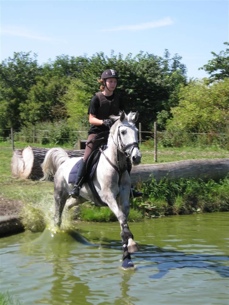 Søborggård Ridelejr Uge 32 billede 215
