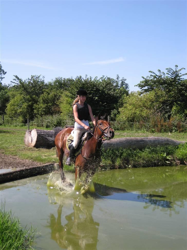Søborggård Ridelejr Uge 32 billede 216