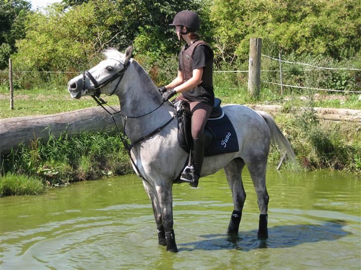 Søborggård Ridelejr Uge 32 billede 218