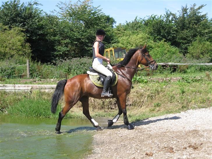 Søborggård Ridelejr Uge 32 billede 219