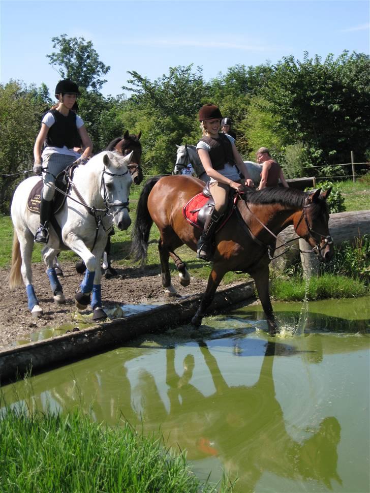 Søborggård Ridelejr Uge 32 billede 220
