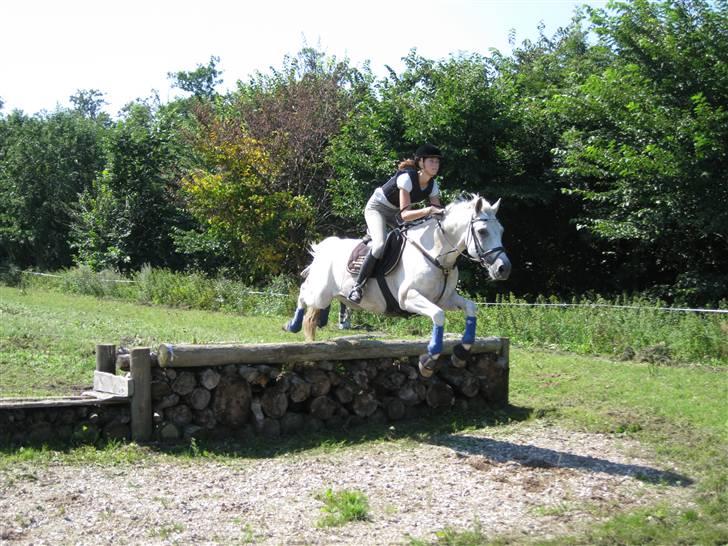 Søborggård Ridelejr Uge 32 billede 221